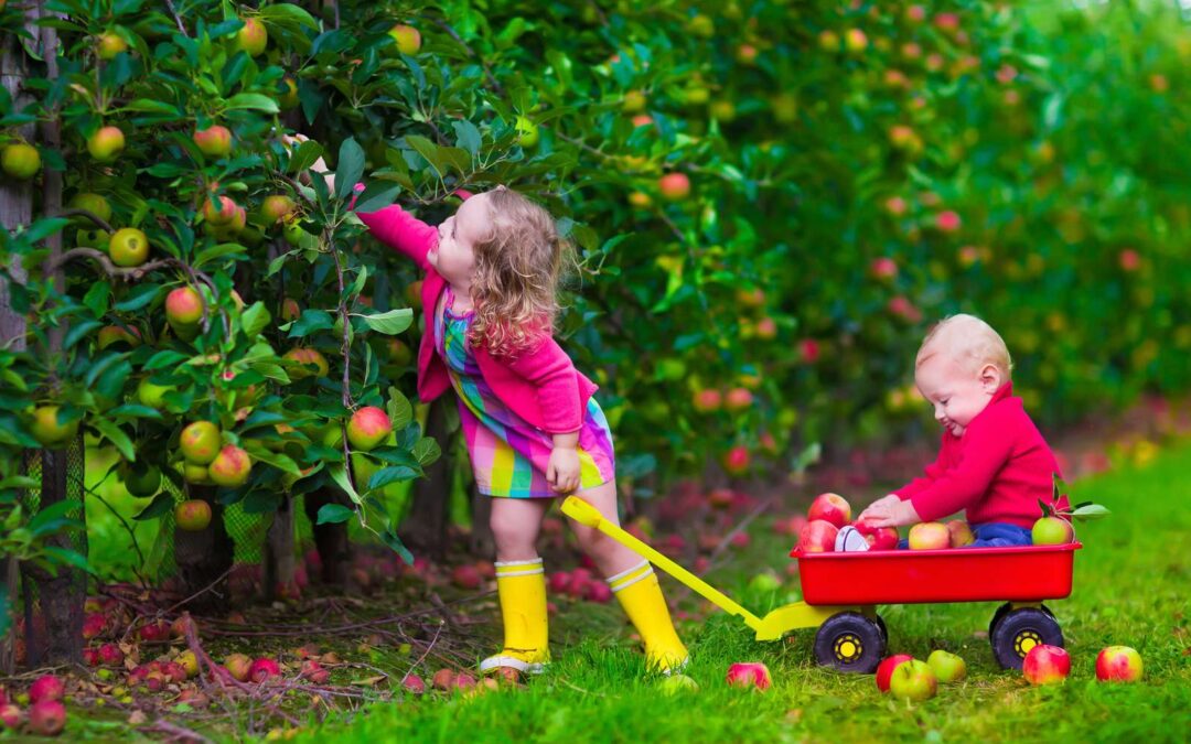 Routine e bambini: perché sono così importanti?