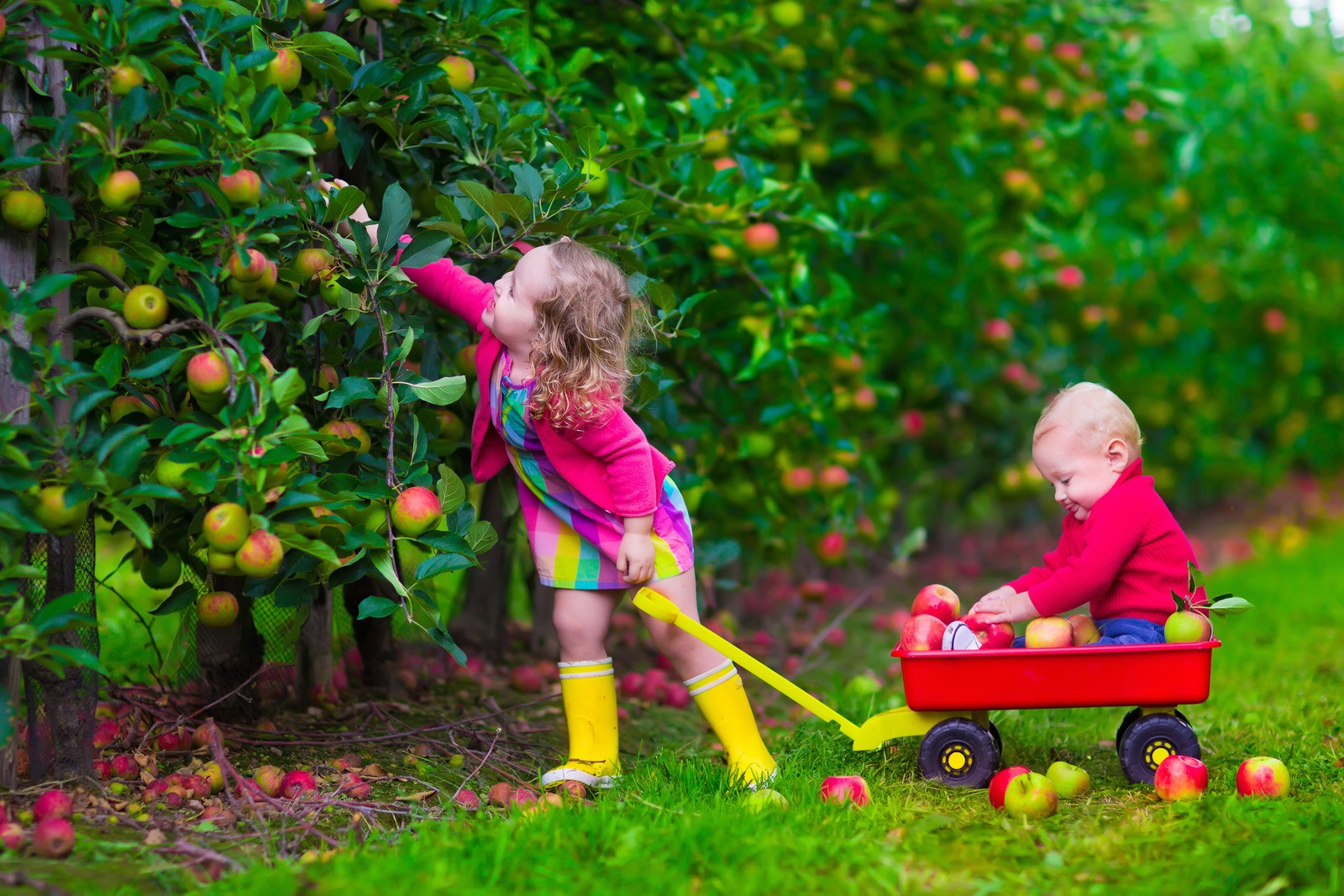 L’ansia da separazione nei bambini